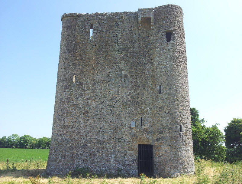 Donore Castle Ruins, Ireland